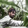 achin_afg011_Festmahl